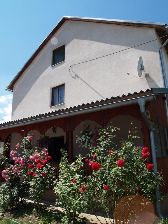 Rooms Zigic Korenica Exterior foto